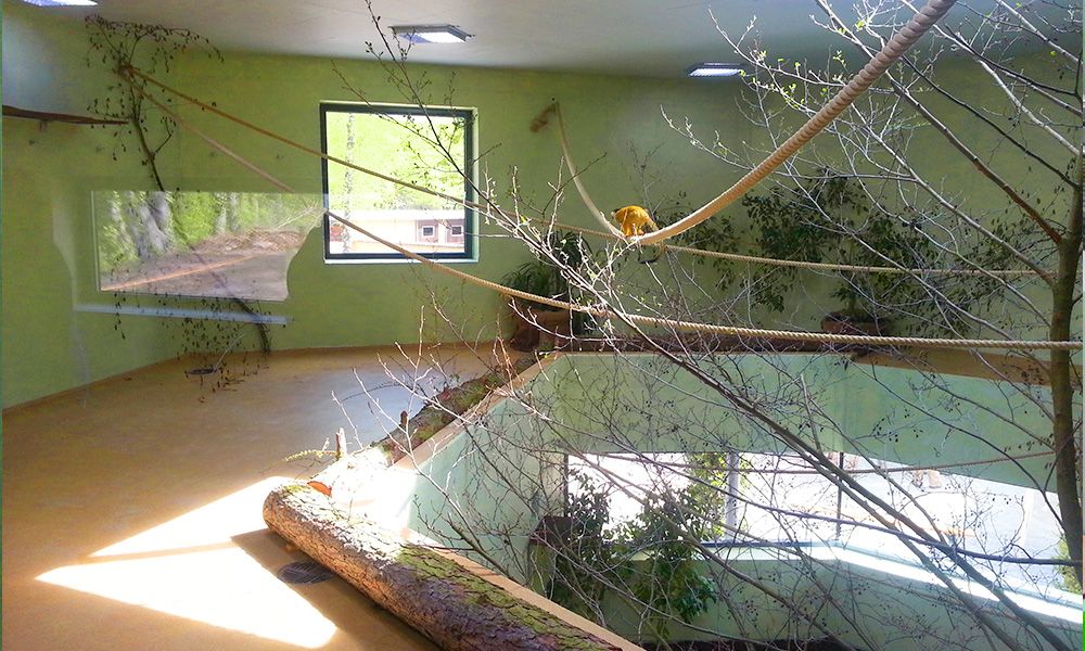 Affenhaus im Zoo Vivarium